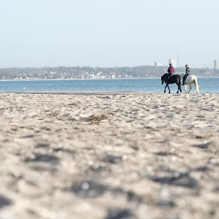 Wohnpark Am Muehlenteich - 31 Apartman Timmendorfer Strand